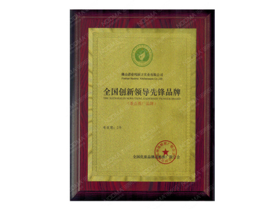 全国创新领导先锋品牌
